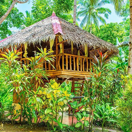 Water To Forest Ecolodge Loboc Exterior foto