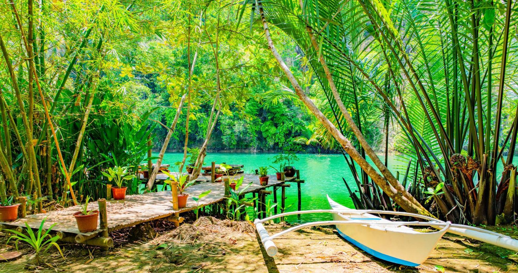 Water To Forest Ecolodge Loboc Exterior foto