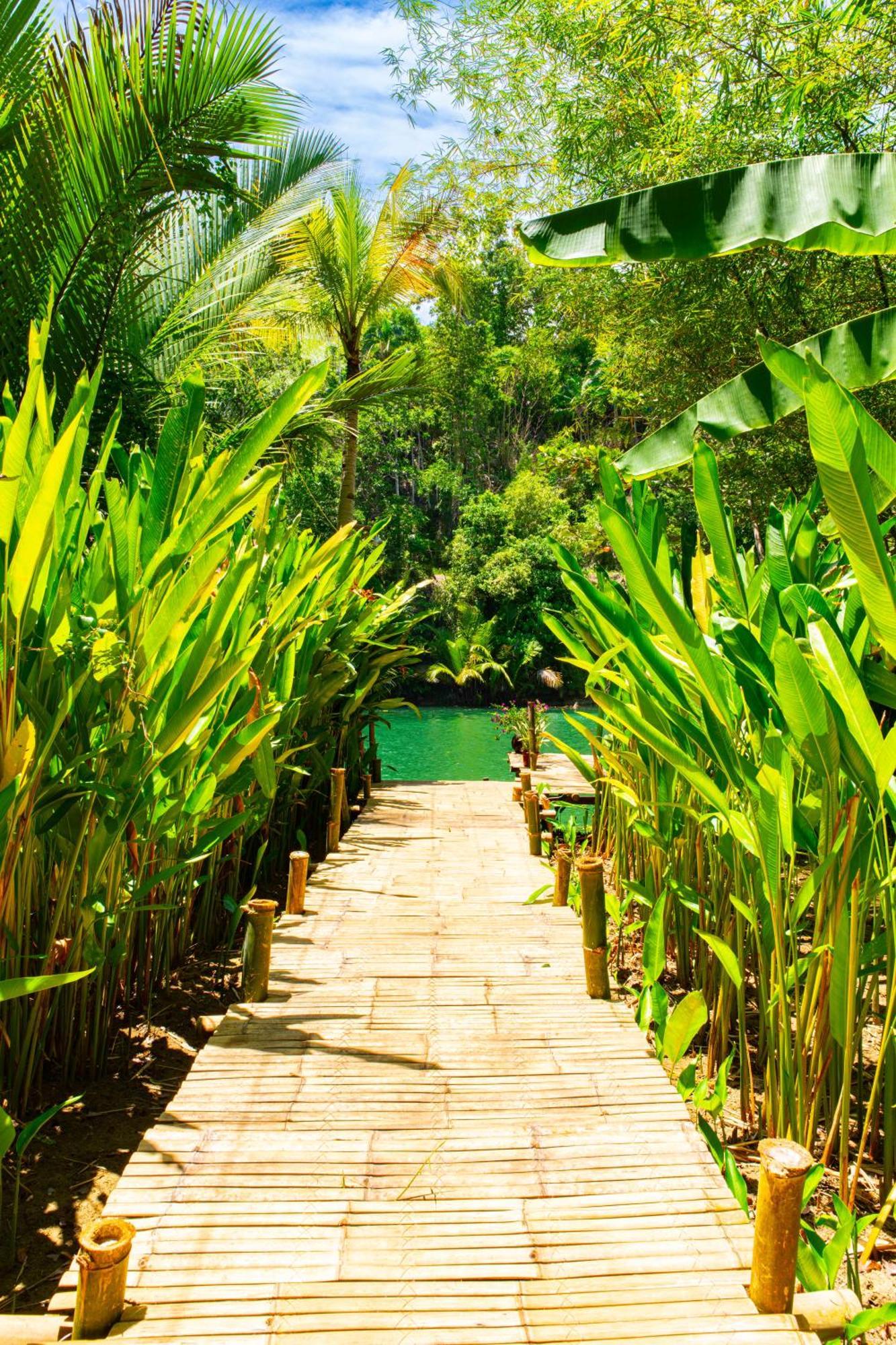 Water To Forest Ecolodge Loboc Exterior foto