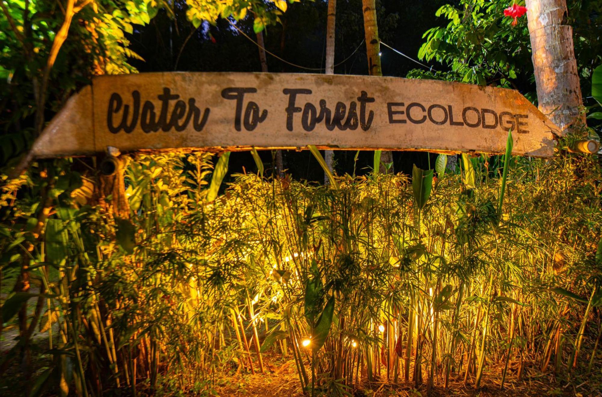 Water To Forest Ecolodge Loboc Exterior foto