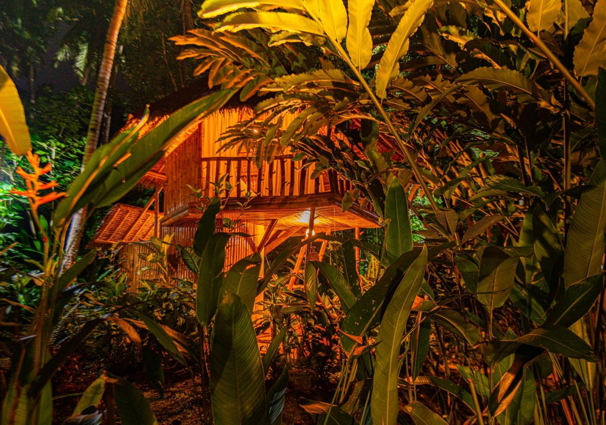Water To Forest Ecolodge Loboc Exterior foto