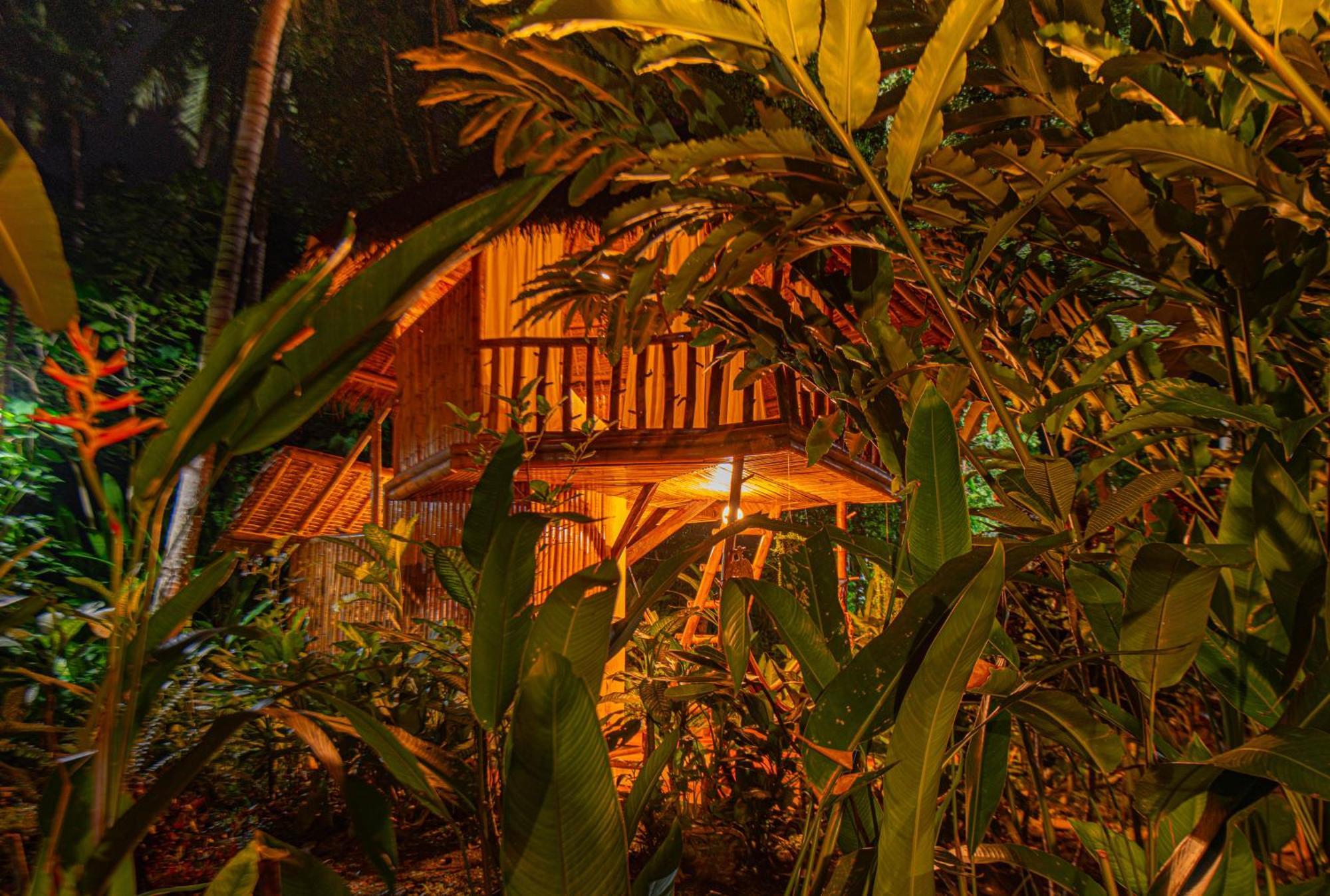 Water To Forest Ecolodge Loboc Exterior foto